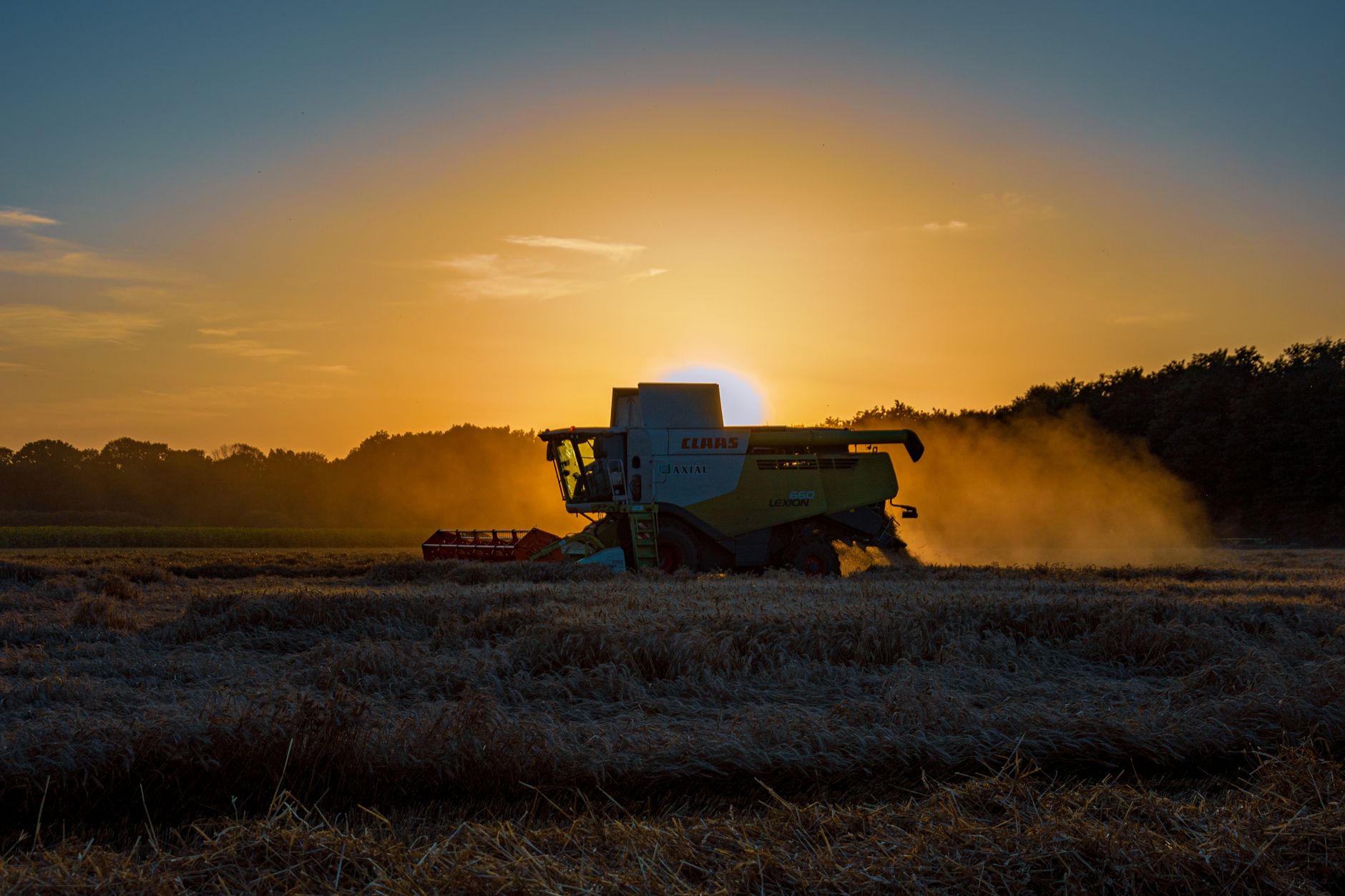 Combine harvester in a field at golden hour